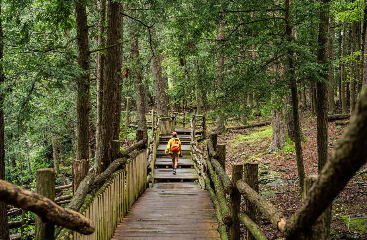 Bushkill Falls, Pennsylvania, USA